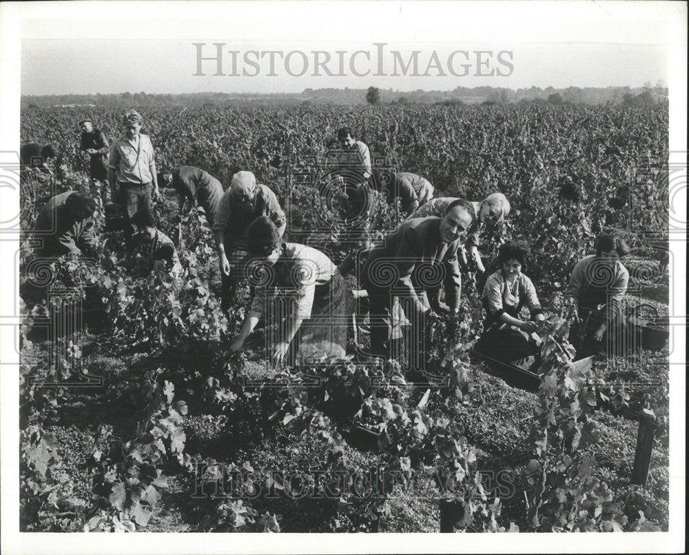 1978 Press Photo Loire Valley France Robert Goulaine Renaissance Chateau du - Historic Images