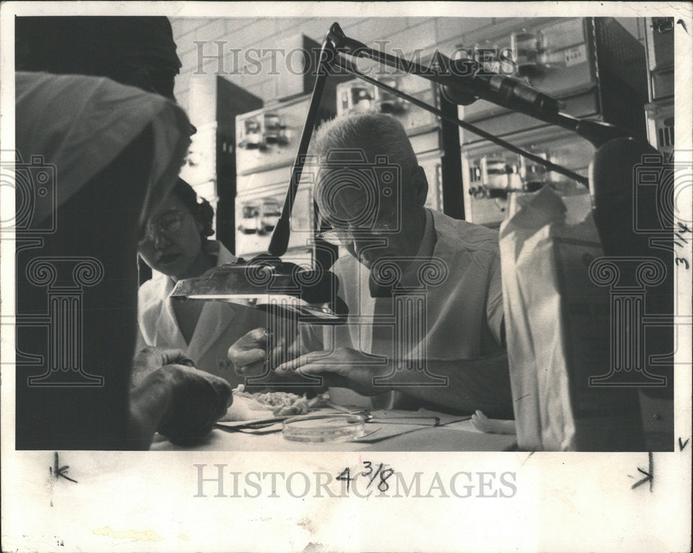 1961 Press Photo Dr. Charles Huggins University of Chicago - Historic Images