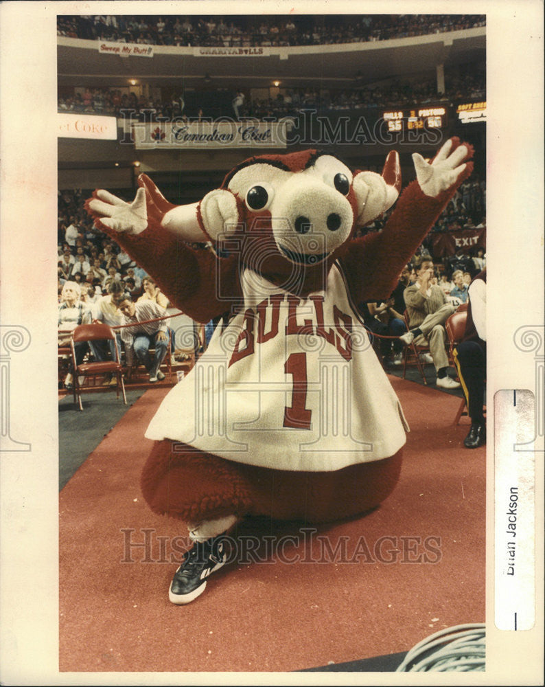 1989 Press Photo Chicago Bulls Mascot Benny Bull - Historic Images