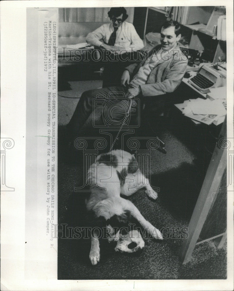 1972 Press Photo Anthony R Martin Bernard Puppy Grumpy Pet Animal - Historic Images