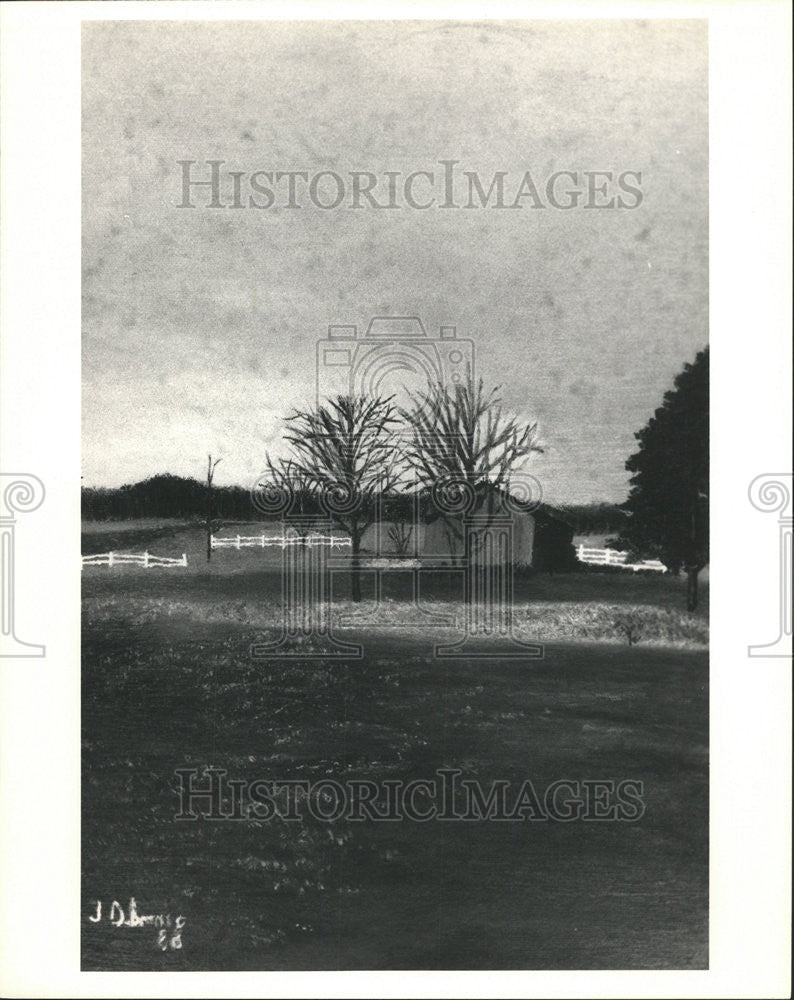 1987 Press Photo John Dobranic Artist - Historic Images