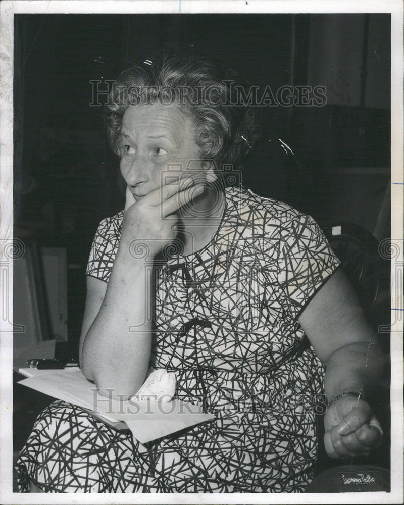 1965 Press Photo Abel Fagen Director Art Exhibition Ravinia Festival Association - Historic Images