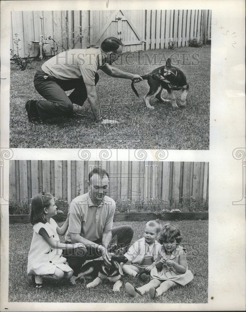 1966 Press Photo Duby German Shepherd Michael Collins - Historic Images