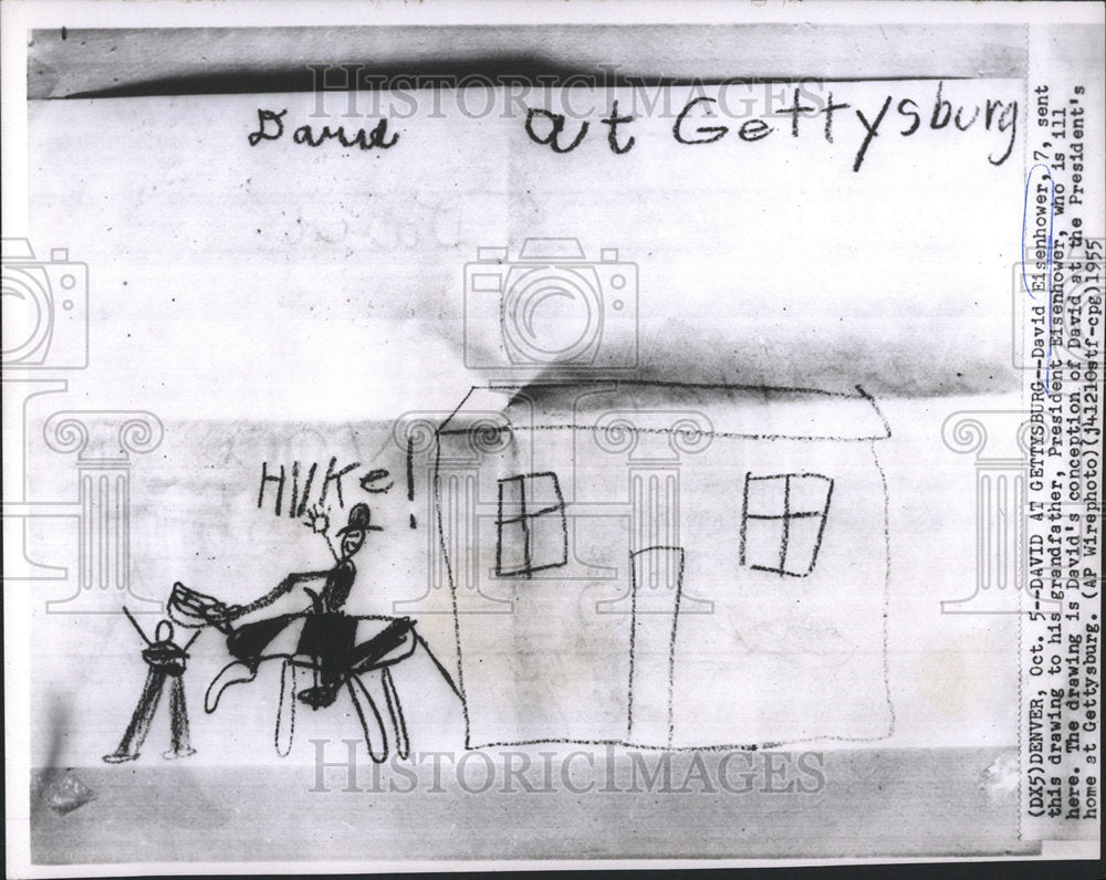 1955 Press Photo Dwight D. Eisenhower President - Historic Images