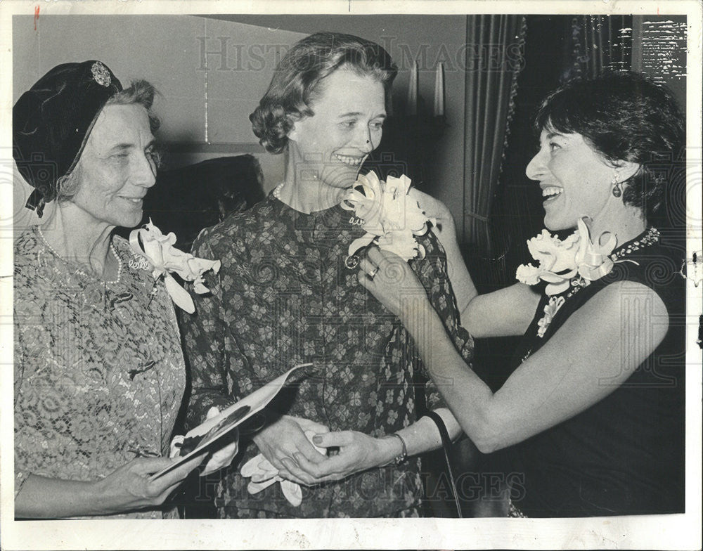 1965 Press Photo Mrs. Hubert de Basche Swedish Diplomat&#39;s Wife - Historic Images