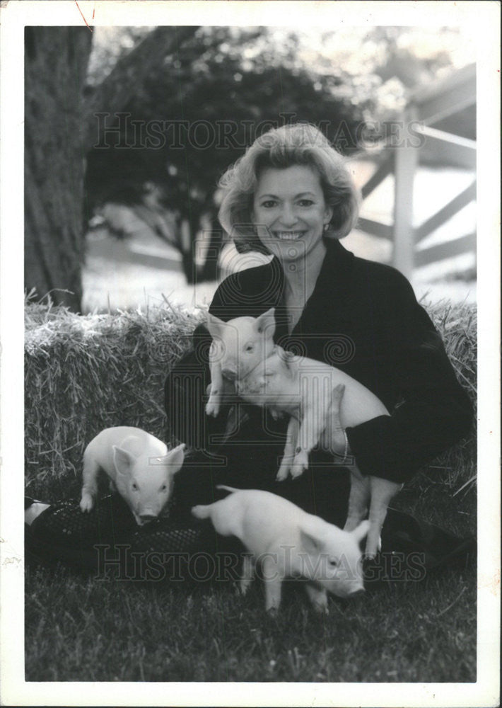 1982 Press Photo Anne Burke Laddie condo pig Lincoln Park Zoo porker attorney - Historic Images