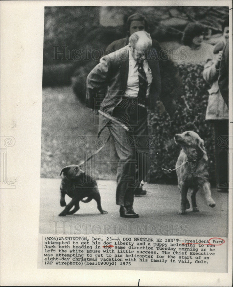 1975 Press Photo President Ford With Family Pets, Liberty and Puppy Ja ...