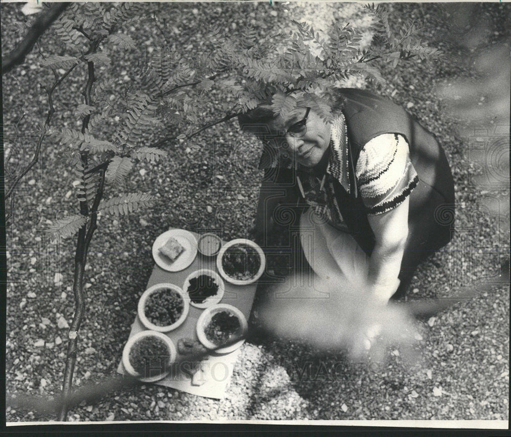 1973 Press Photo Amy Skenandore, director of St. Augustine&#39;s Indian Center - Historic Images