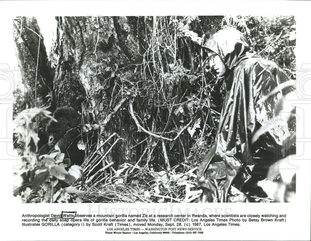 1987 Press Photo David Watts Anthropologist Scientist - Historic Images