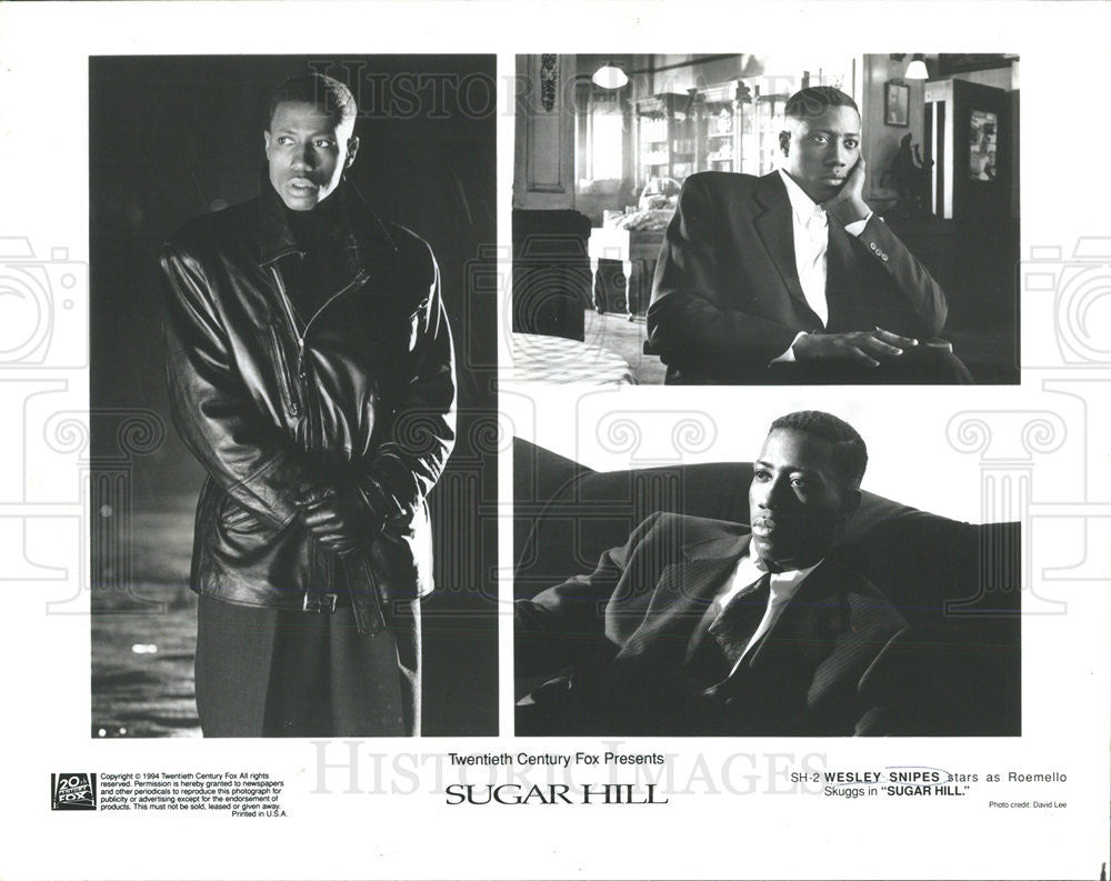 1996 Press Photo Wesley Snipes &quot;Sugar Hill&quot; - Historic Images