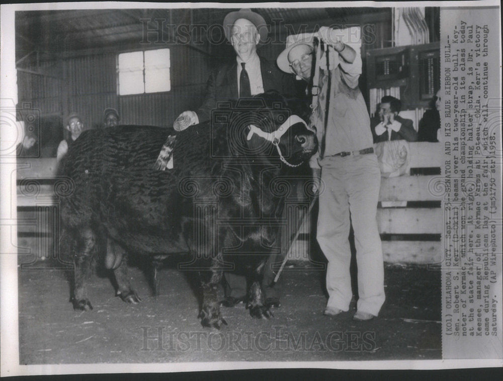 1958 Sen. Robert S. Kerr beams over his two-year-old bull-Historic Images