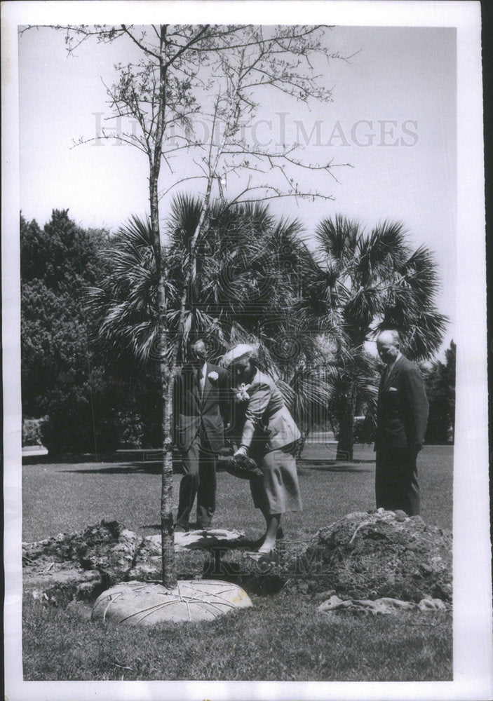 1952 Queen Juliana Netherlands-Historic Images