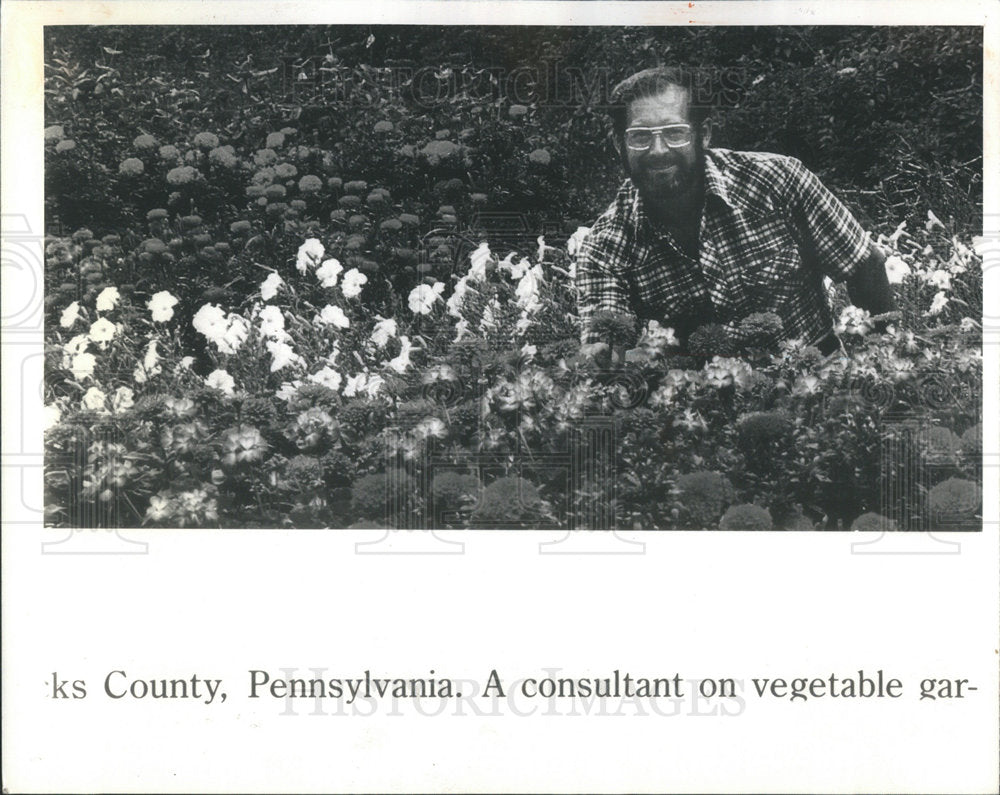 1988 Derek Fell Author Gardening Books One Minute Gardener - Historic Images