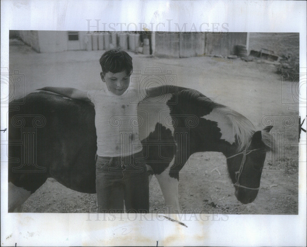 1974 A Little Boy Hugs His Pet Horse  - Historic Images