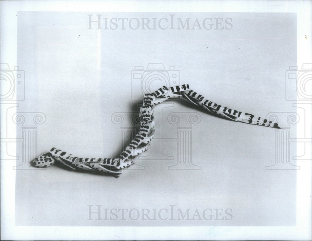 1985 Press Photo Robert Wade Ponder Billie Lawless Chicago Harrison Wells Street - Historic Images