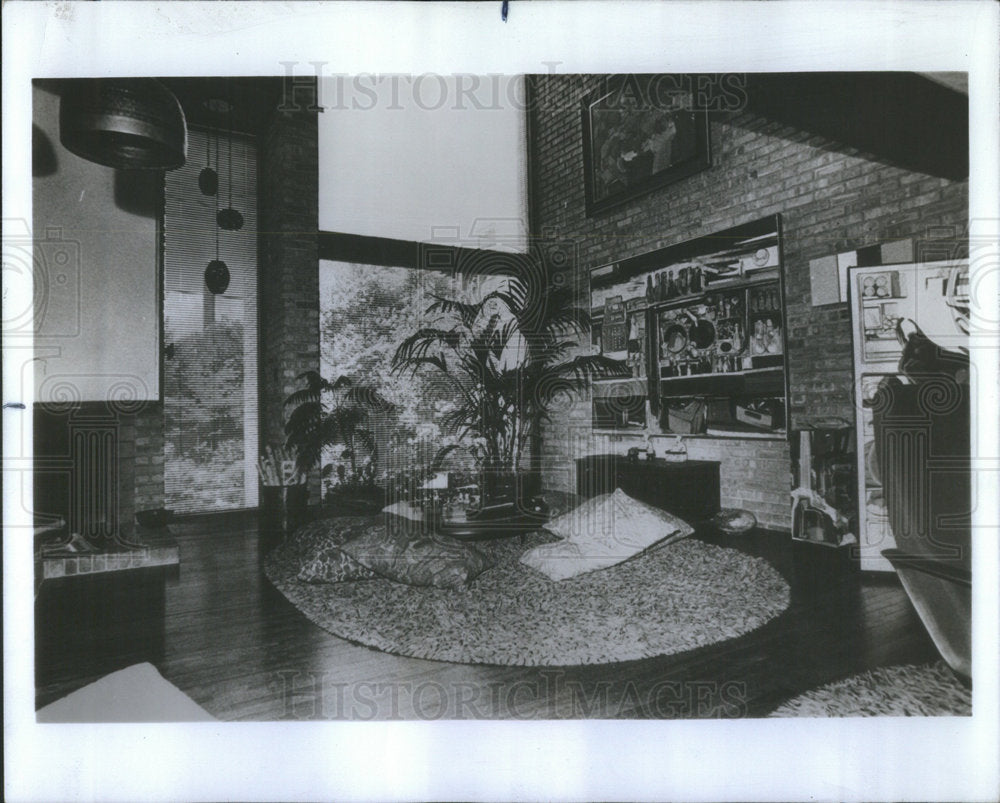 1978 Press Photo Carl Schwartz sculptor, painter and printmaker living room - Historic Images