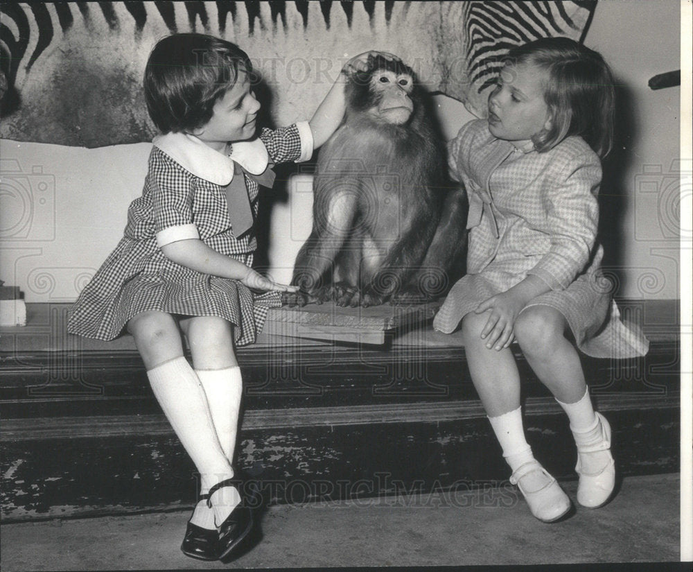 1966 Claire Kelley with Teakie Rolson viewed the animals - Historic Images