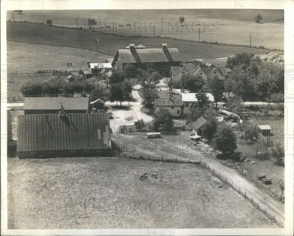 1939 Billy Spidmore Fine Tree Farm East Land Place Agriculture - Historic Images