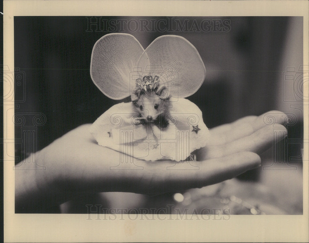 1993 Press Photo Mary Wells and a collection of items housed in the tooth - Historic Images