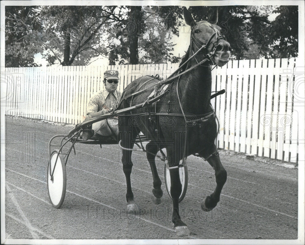 1972 Press Photo Trainer-Driver Dan Shelter Jr., on Robert Parrish's Pacer. - Historic Images