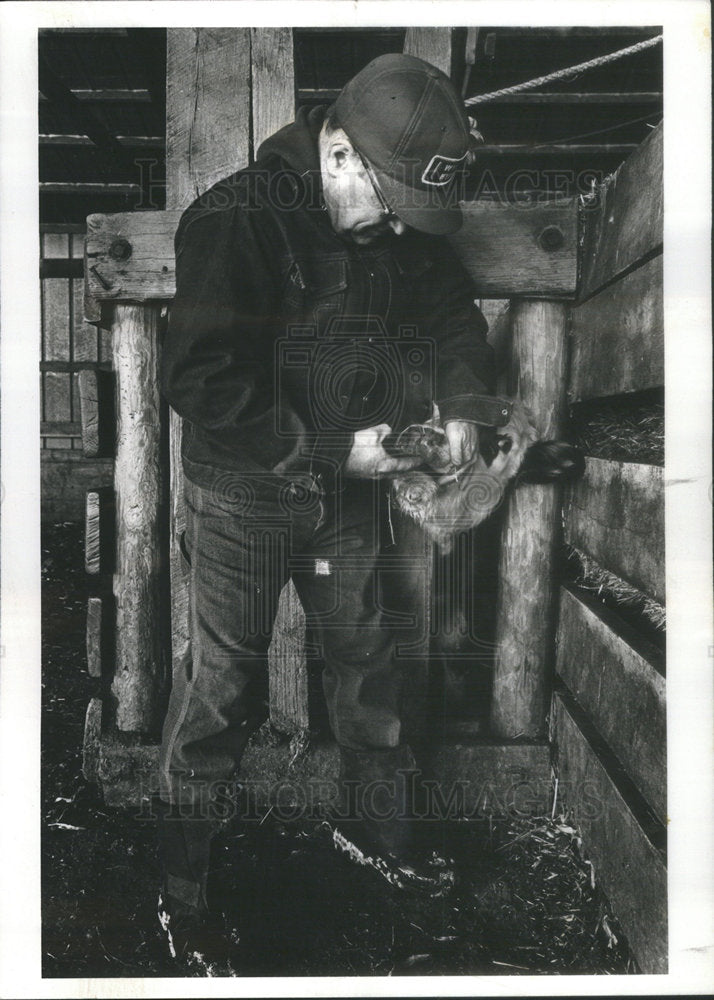 1977 Press Photo Rep. Harlan Rigney at his farm doing chores - Historic Images