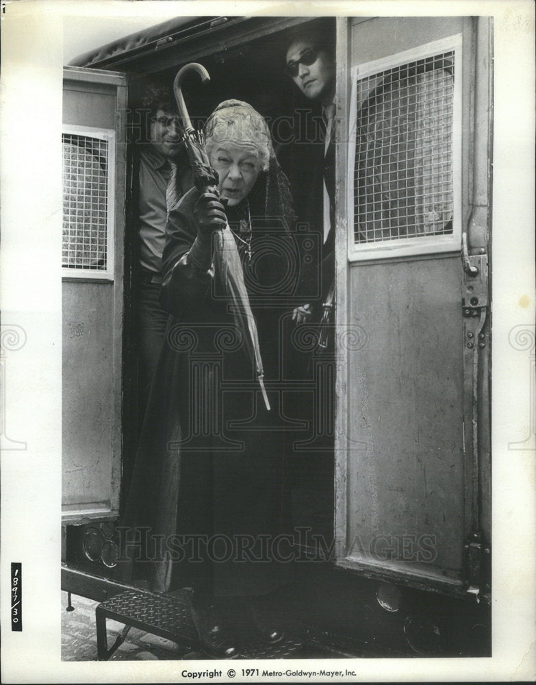 1971 Actress Jo Van Fleet In "The Gang That Couldn't Shoot Straight" - Historic Images