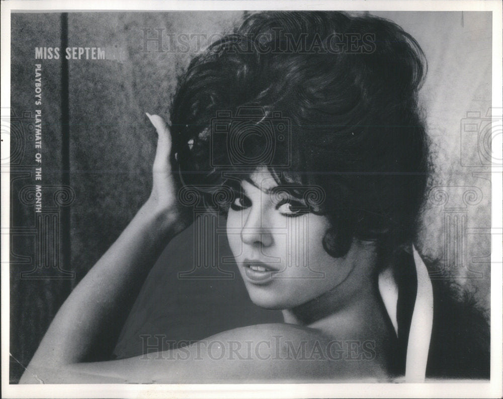 1965 Press Photo September Playboy Bunny Patti Reynolds - Historic Images