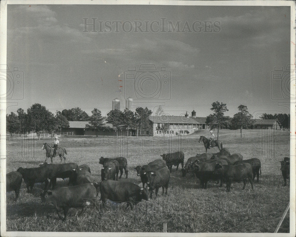 1958 buge irrigation system Rockefeller Wlarock farm Paradise - Historic Images