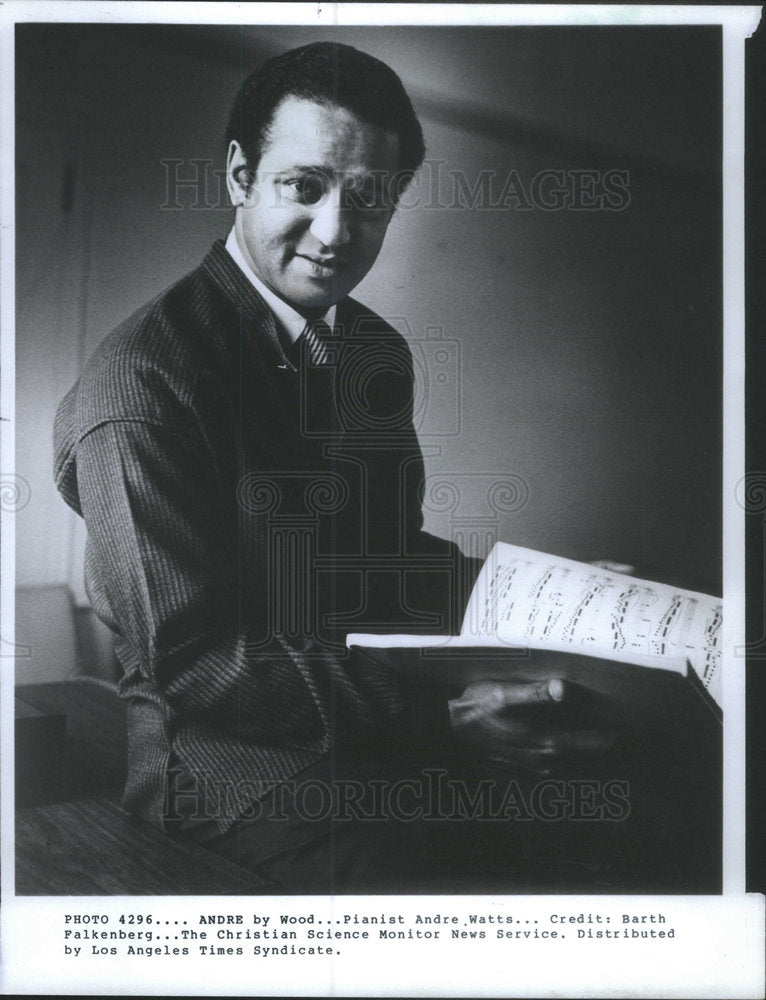 1986 Press Photo Pianist Andre Watts - Historic Images
