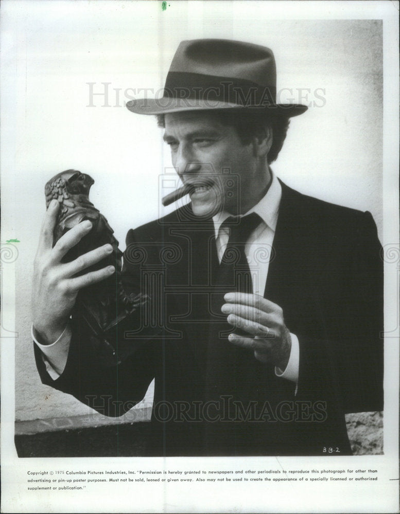 1975 George Segal Sam Spade Maltese Falcon Black Bird Stephan Audram - Historic Images