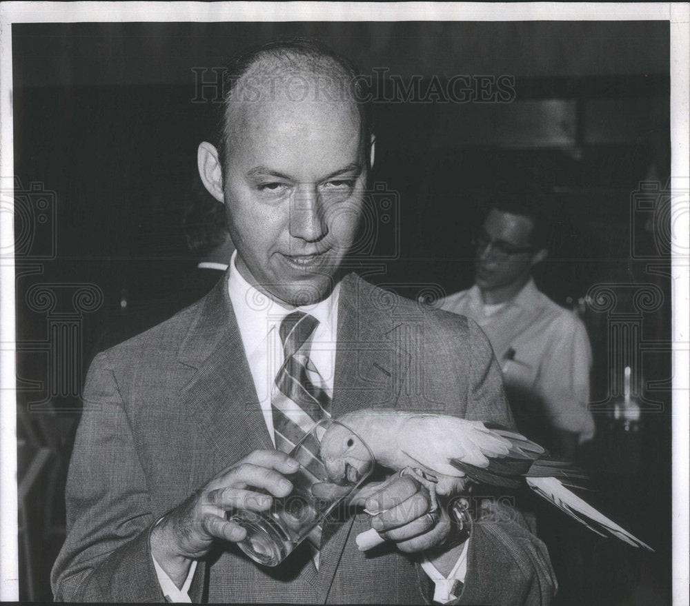 1970 Homer Sharp Lincoln Park Zoo Parrot - Historic Images