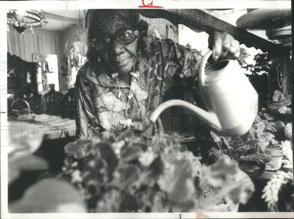 1977 Press Photo Dr. Lydia Eudore Ashburne pampers plants care - Historic Images