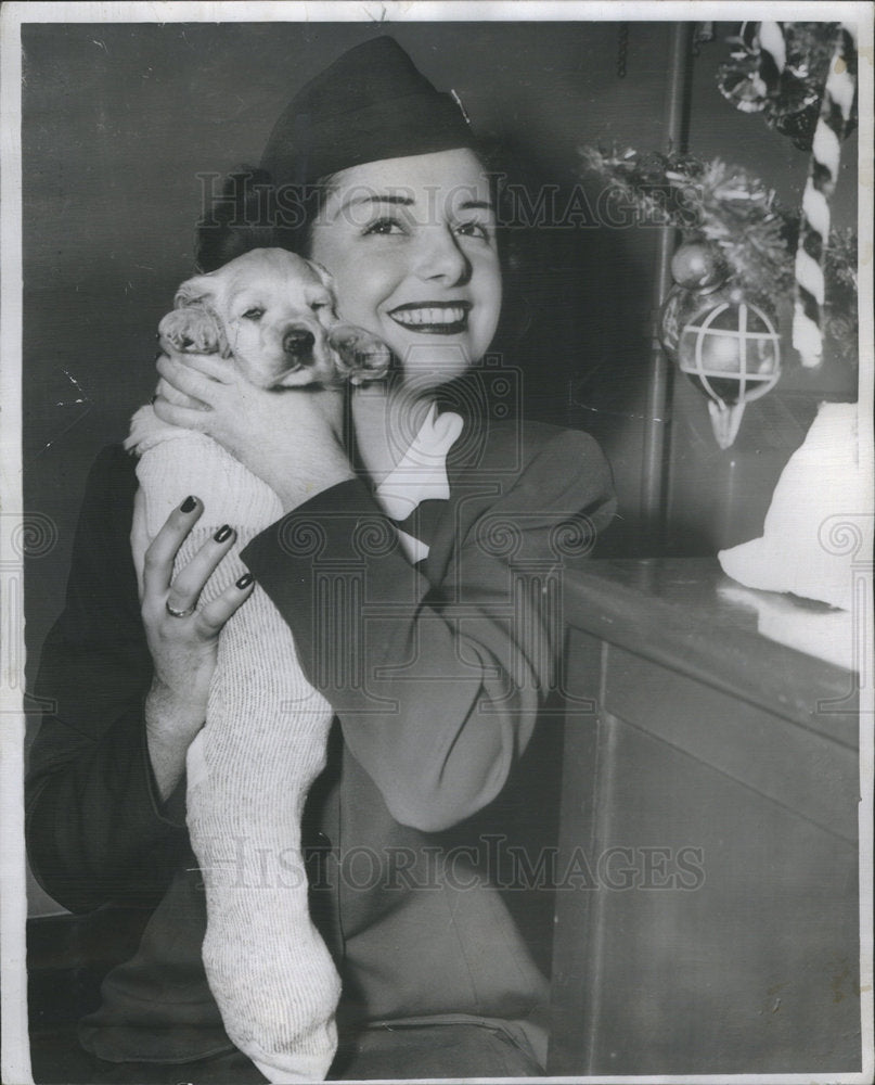 1947 Cocker Spaniel Silver Buff Breed - Historic Images