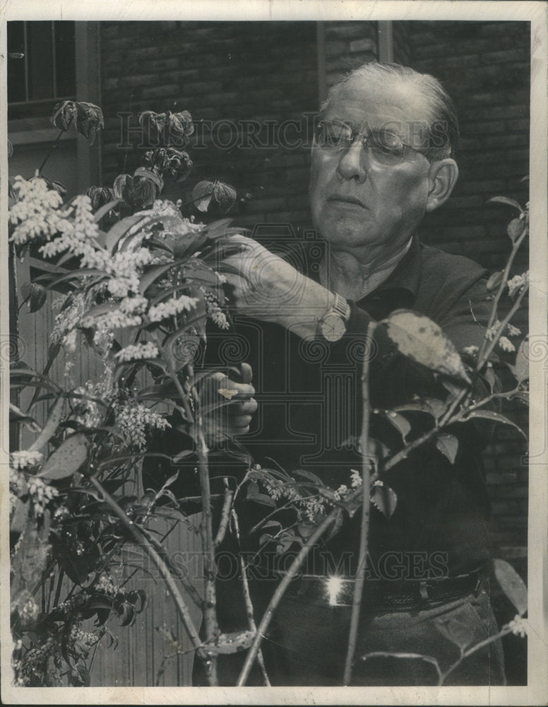 1965 Ogden Nash American Poet Humorist  - Historic Images