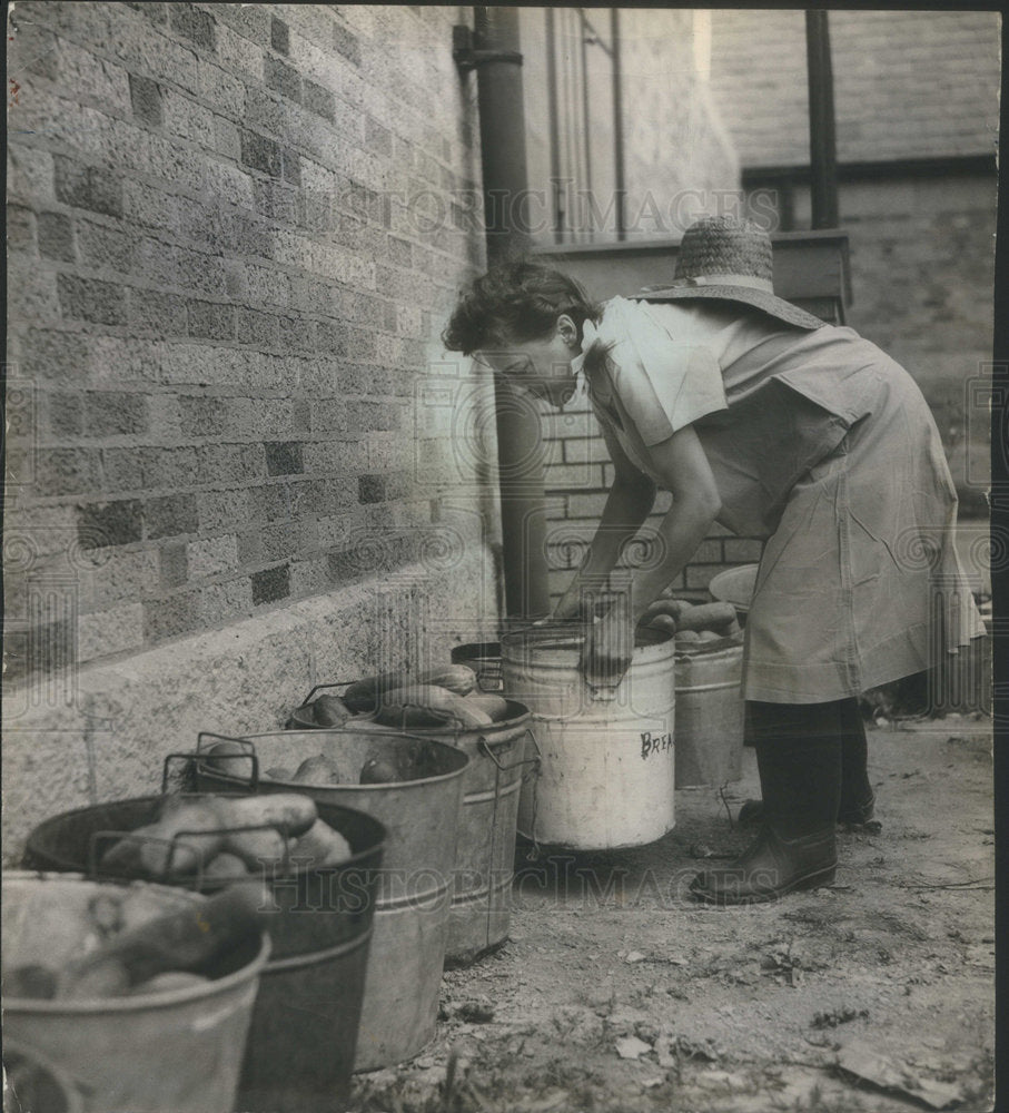 1949 Press Photo Cucumbers fresh from reformatory farm with Eden Wright - Historic Images