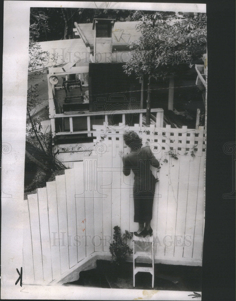 1952 Christine Larson Looks At Neighbor And Claims He Loves Her - Historic Images