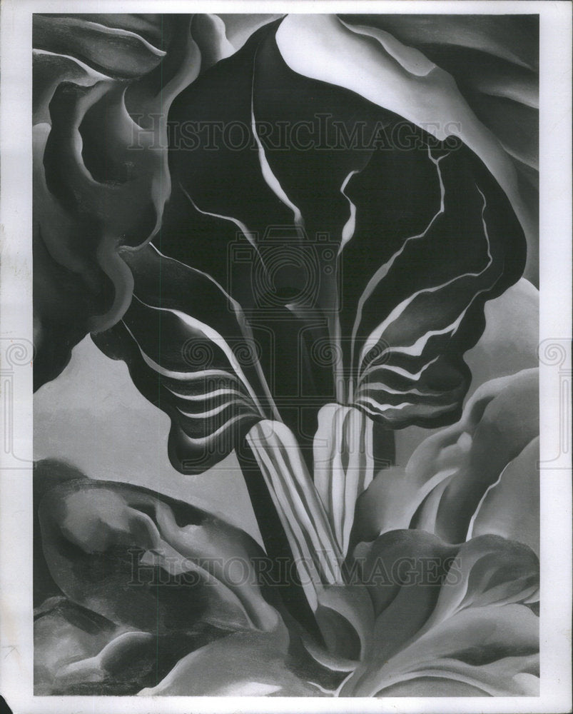 1971 Georgia O Kneeffe Jack in the Pulpit Painting Artist - Historic Images