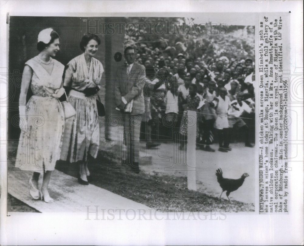 1956 Press Photo Chicken Crosses Queen Elizabeth&#39;s Path in Enugu, Nigeria - Historic Images