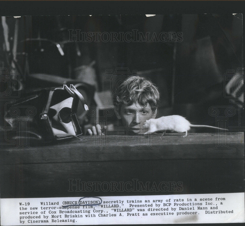 1971 Bruce Davison American Film Actor Director Chicago Illinois - Historic Images