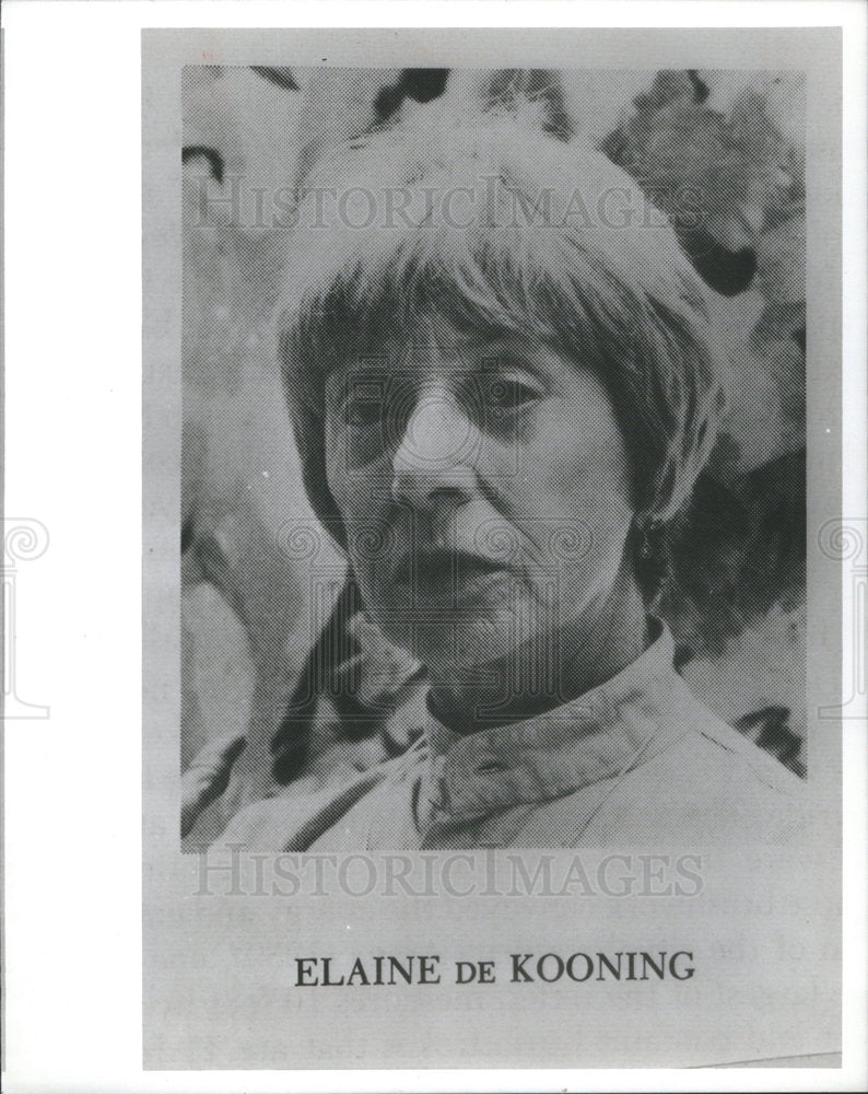 1993 Press Photo Artist Elaine De Kooning Biography Lee Hall - RSC69029 - Historic Images