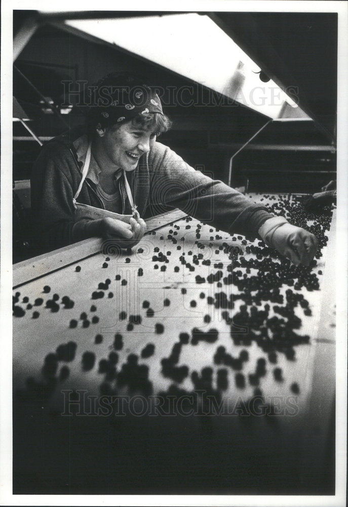 1981 Press Photo James DeLapo CEO Saluto Pizza - Historic Images