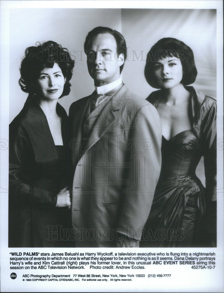 1993 Press Photo Actor James Belushi Dana Delany Kim Cattrall ABC TV Wild Palms - Historic Images