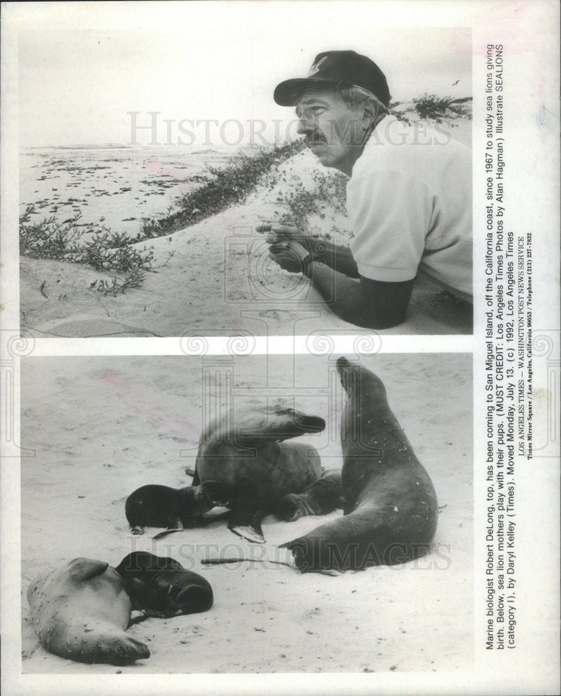 1992 Press Photo Marine Biologist Robert DeLong In San Miguel Island - Historic Images