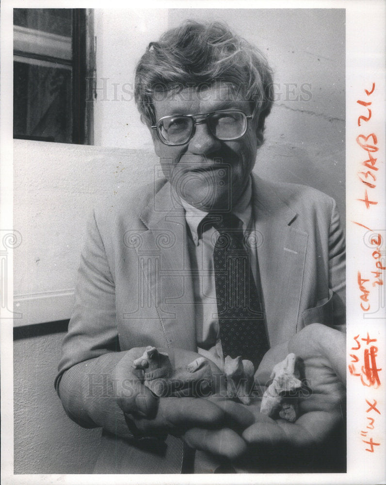 1990 Press Photo McGuire Gibson Archeologist - Historic Images