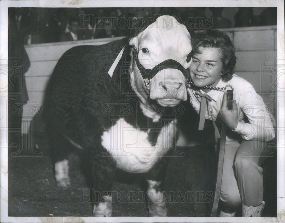 1960 Press Photo Grand Champion &quot;Hercy&quot; a hereford, and Kaye Pollock, 14 - Historic Images