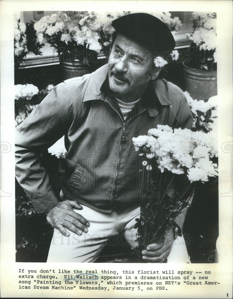 1972 Press Photo Eli Wallch Appearing in  Song video of  "Painting the Flowers" - Historic Images