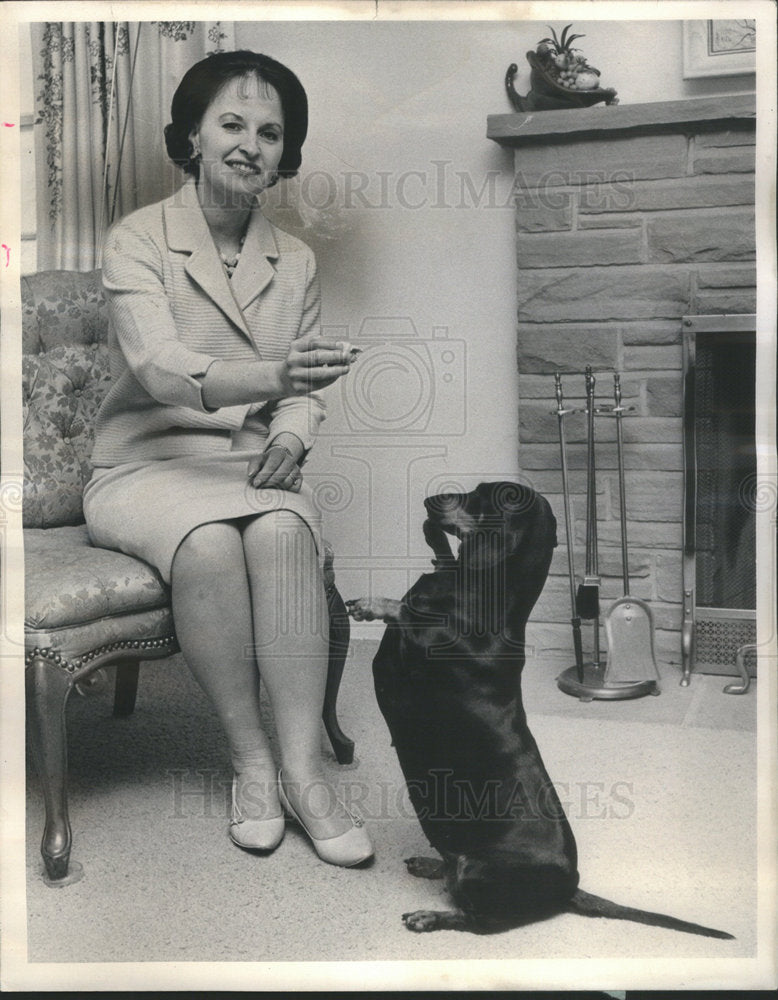 1967 Press Photo Mrs. Paul E Meves Dog Mitzi House - Historic Images