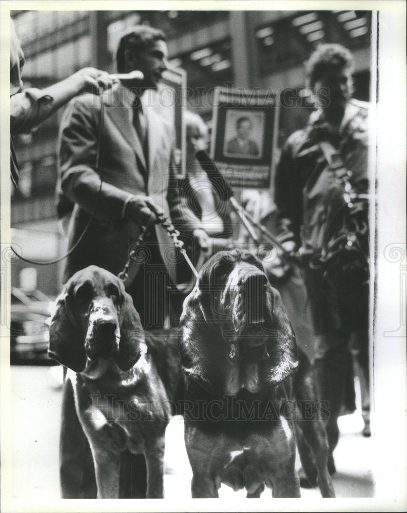 1986 Press Photo Joseph Mathewson Candidate for Cook County Board President - Historic Images