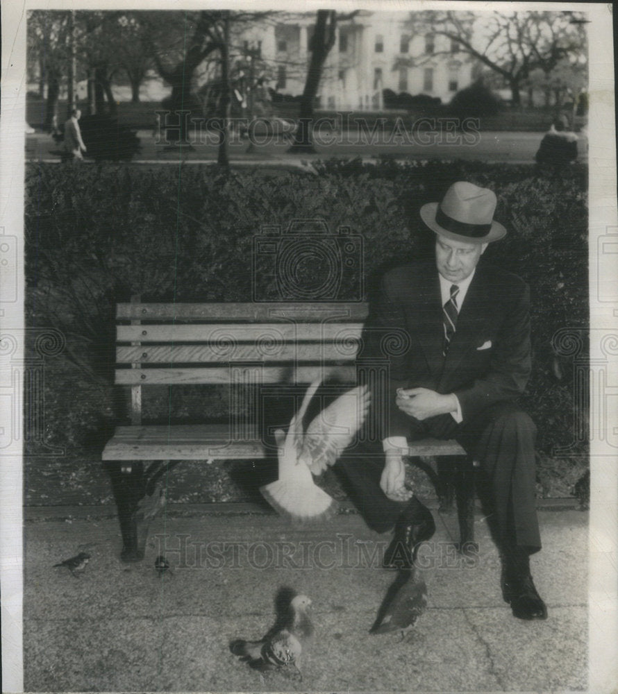 1952 Press Photo Newbold Morris Suns Himself And Feeds The Birds After Firing - Historic Images