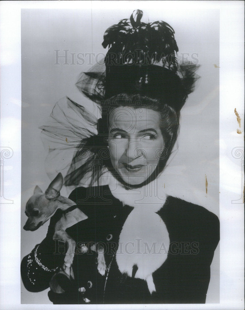 1968 Comedienne Renie Riano Lacy Black Hat Chihuahua - Historic Images